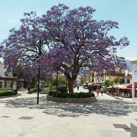 Alegranza Διαμέρισμα